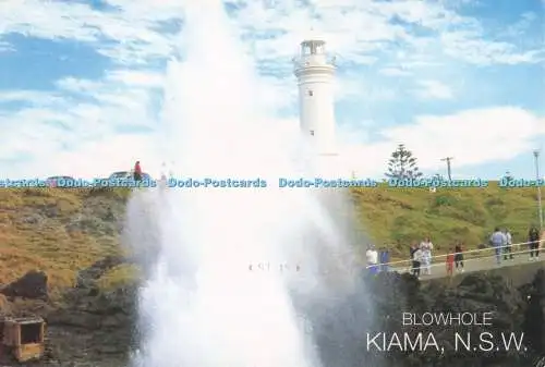 R725973 Blowhole Kiama N S W Rose Stereograph Neil Cutts