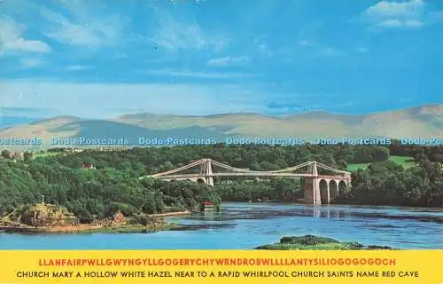 R726954 North Wales The Menai Bridge N P O Belfast Dexter