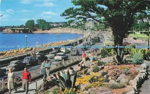 R726074 Torquay Tropical Gardens and Sea Front Lansdowne PM Exeter Devon 1964