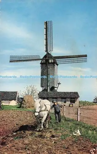 R726082 Dutch Windmill A F K H