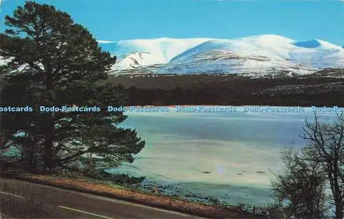 R726128 Die schneebedeckten Cairngorm-Berge von der anderen Seite des Loch Morlich Photo Precisi