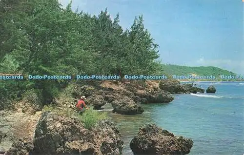 R727143 W I Barbados Bath Coast Saint Joseph Atwell Dalgliesh Plastichrome by Co