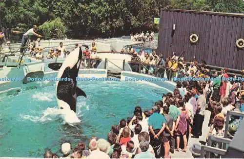 R727222 Canada B C Vancouver Vancouver Public Aquarium Stanley Park Plastichrome