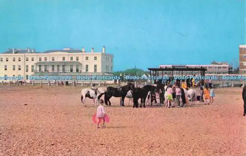 R727278 Hayling Island The Ponies D V Bennett Lenham Kent Foto Ansicht