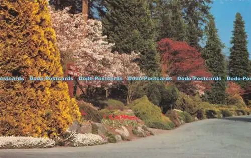 R726364 B C Canada Vancouver Border Flowers and Shrubbery Stanley Park Natural C
