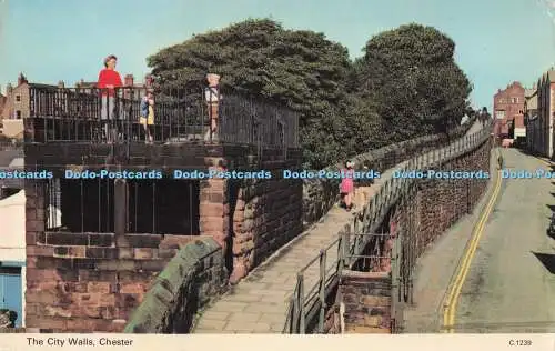 R726411 Chester The City Walls E T W Dennis Scarborough