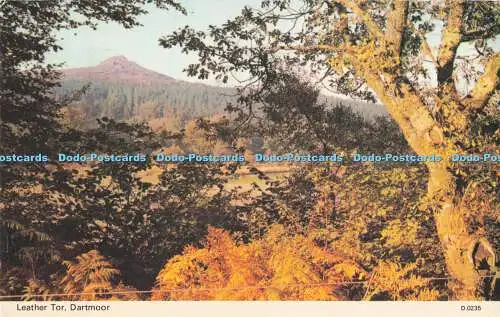 R726458 Dartmoor Leather Tor E T W Dennis Scarborough PM South Devon 1977