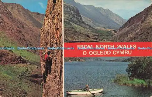 R727415 From North Wales N P O Dexter Multi View