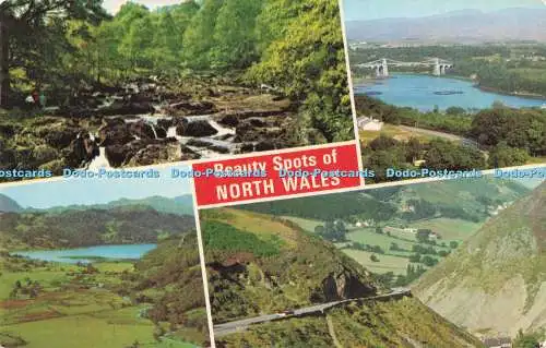 R726879 Beauty Spots of North Wales Sychnant Pass E T W Dennis Scarborough PM Co