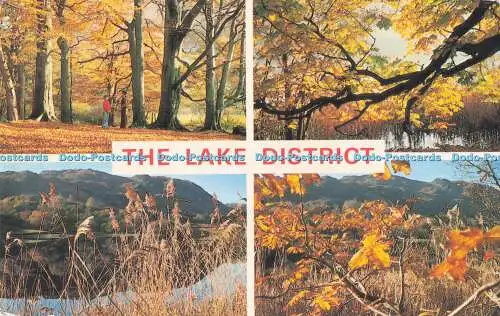 R727999 Die Lake District Herbstszenen Sanderson und Dixon Ambleside Jarrold Mu