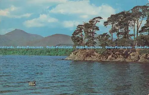 R728013 England Derwentwater Lake District N P O Belfast Dexter T R Mcllroy PM K