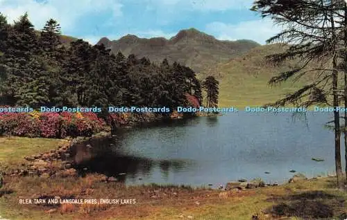 R728049 Blea Tarn and Langdale Pikes English Lakes J Salmon Sevenoaks Eng