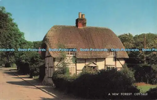 R728082 A New Forest Cottage J Salmon Sevenoaks Eng