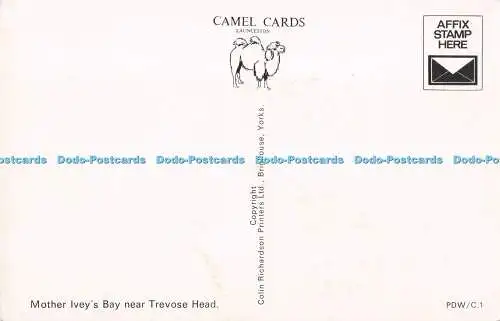 R728095 Mother Ivey Bay Near Trevose Head Colin Richardson Printers Camel Cards