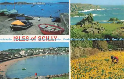 R728126 Isles of Scilly A Flower Field St Mary F E Gibson Natural Colour Photo S