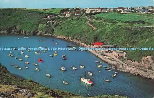 R728247 Solva Pembs Wales N P O Belfast Dexter