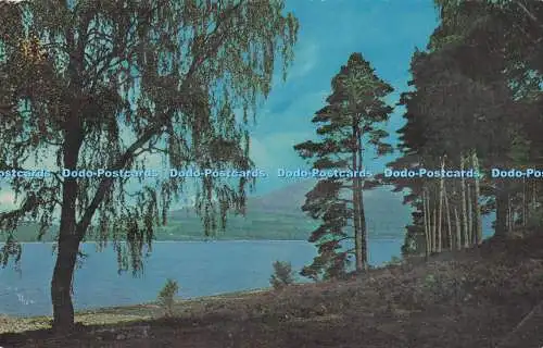 R728337 Loch Rannoch Perthshire The N P O Belfast Dexter T R Mcllroy