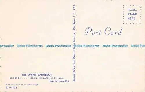 R728452 The Sunny Caribbean Sea Shells Dexter Press Larry Witt