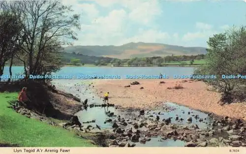 R728469 Llyn Tegid A r Arenig Fawr E T W Dennis Scarborough