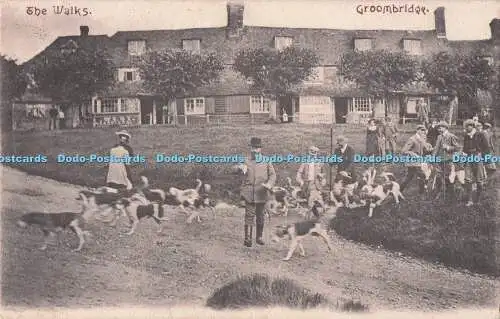 R724866 Groombridge The Walks 1908