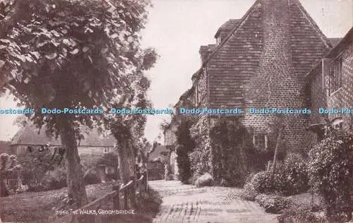 R722452 Groombridge The Walks J Salmon Sevenoaks England 1925