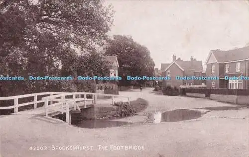 R722240 Brockenhurst The Footbridge The Photochrom London Tunbridge Wells Sepiat