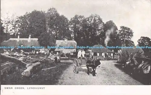 R722242 Lyndhurst Swan Green Kurzpublikationen The New Chapter Press