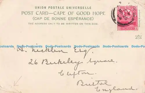 R731242 Cape Town General Post Office and Standard Bank Stewart and Schaefer