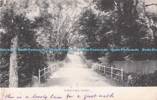 R731410 Jersey Rozel Lane Postkarte 1903