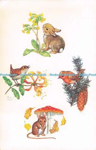 R731520 Hase Rotkehlchen Maus und Zaunkönig The Medici Society London Molly Brett