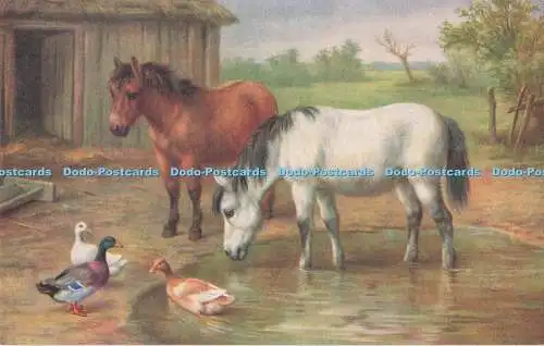 R731645 Pferd und Ente J Salmon Sevenoaks Aquarell