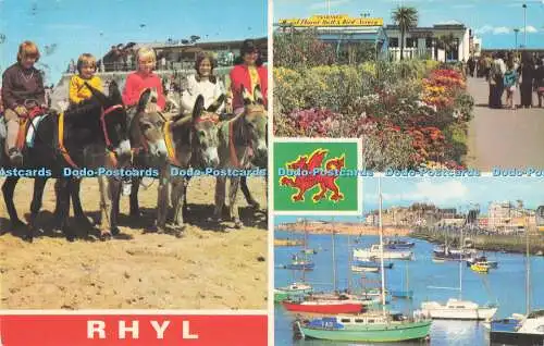 R731724 Rhyl Donkeys Floral Hall E T W Dennis Multi View