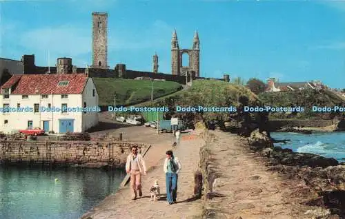 R731748 St Andrews The Harbour and Cathedral Photo Precision Colourmaster Intern