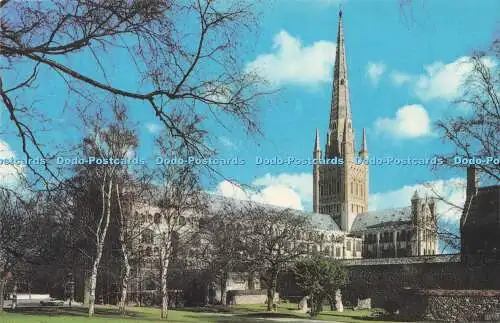 R731763 Norwich Cathedral From The Upper Close Jarrold