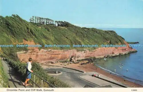 R731923 Exmouth Orcombe Point and Cliff Walk E T W Dennis Scarborough