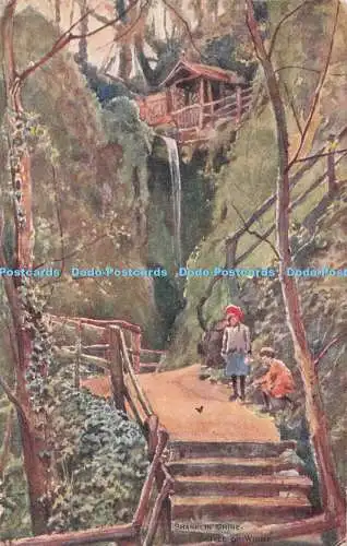 R732098 Isle of Wight Shanklin Chine J W Ruddock Lincoln England The Artist Seri
