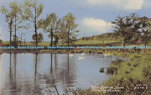 R732284 Basingstoke The Black Dam F Frith Reigate