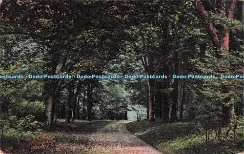 R732304 Paradise Walk Hackwood in der Nähe von Basingstoke The Vandycke Studio