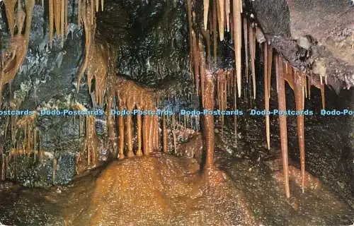 R528060 Stalagmitenformationen Treak Cliff Cavern Castleton Lilywhite Colin Richa