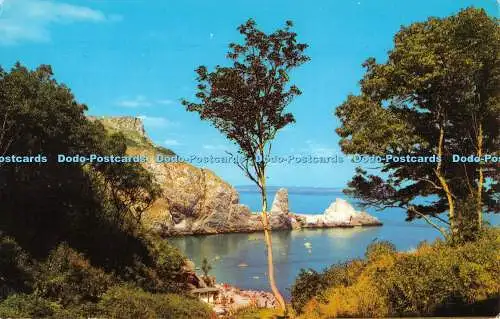 R528092 Torquay Anstey Cove Postkarte