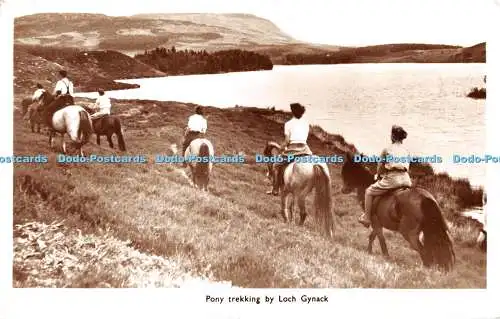 R528111 Pony Trekking von Loch Gynack John Mackay