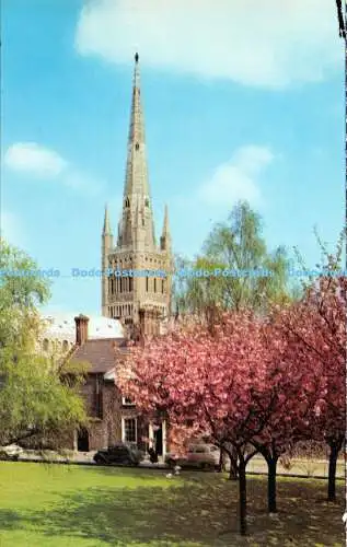 R528227 Norwich Cathedral at Blossom Time J Arthur Dixon Lotus Production