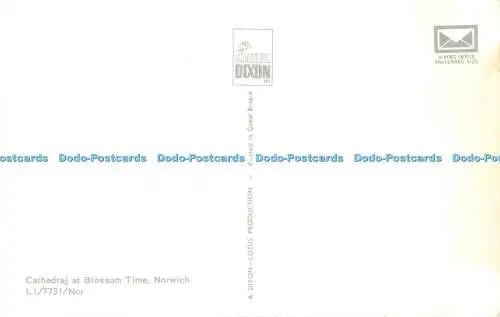 R528227 Norwich Cathedral at Blossom Time J Arthur Dixon Lotus Production