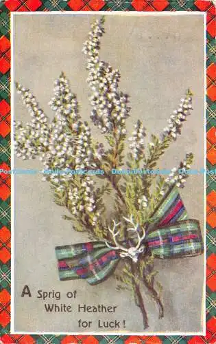 R528269 A Spring of White Heather for Luck Valentine Scottish Embleme