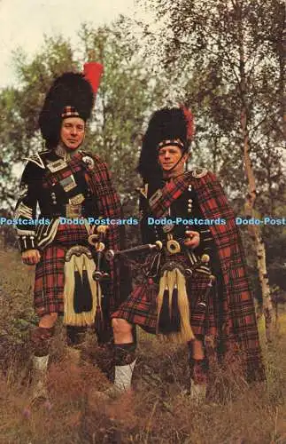 R528316 Scotland Scottish Pipers N P O Fotocolor