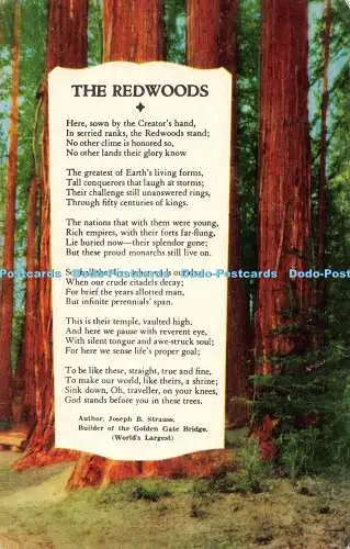 R528361 Die Redwoods Dieses schöne Gedicht wurde von Joseph B. Strauss Donmar geschrieben