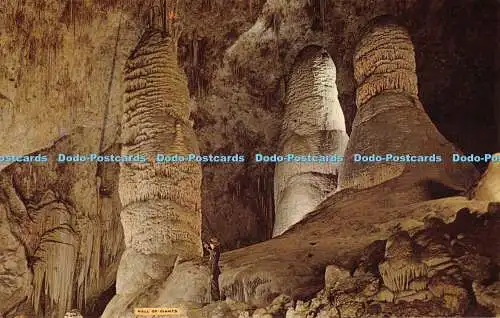 R530294 Hall of Giants Giant and Twin Domes Carlsbad Caverns National Park Neu M