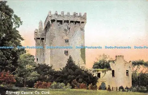 R530354 Blarney Castle Co Cork The Wrench Series No 15 194