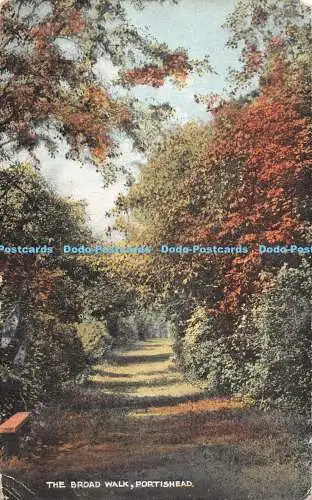 R528624 Portishead The Broad Walk Postkarte