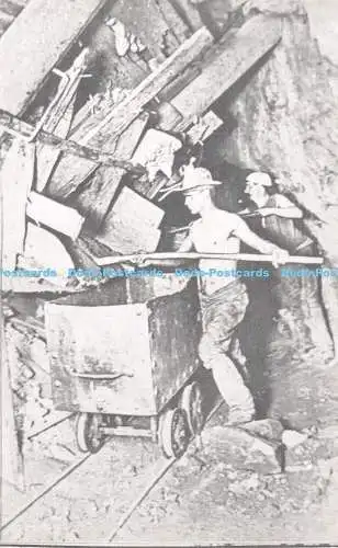R528670 Herren Arbeitsjubiläumsjahr 1977